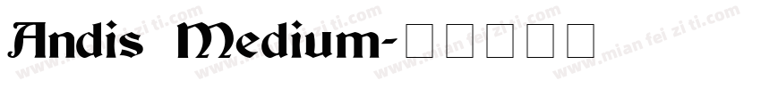 Andis Medium字体转换